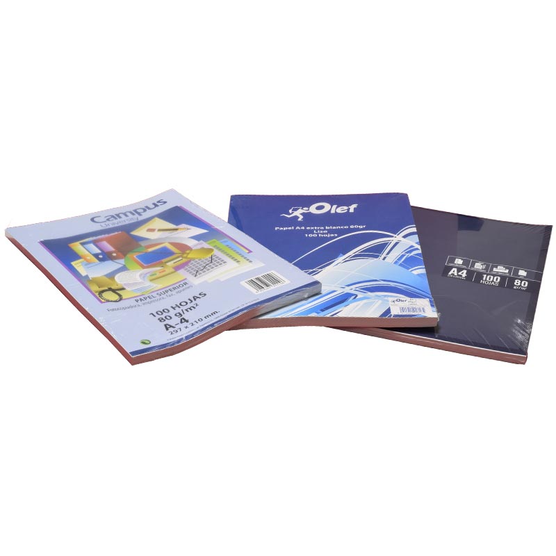 Recambio 100 Hojas A4 Blanco sin Taladrar Varias marcas (80 Gr).